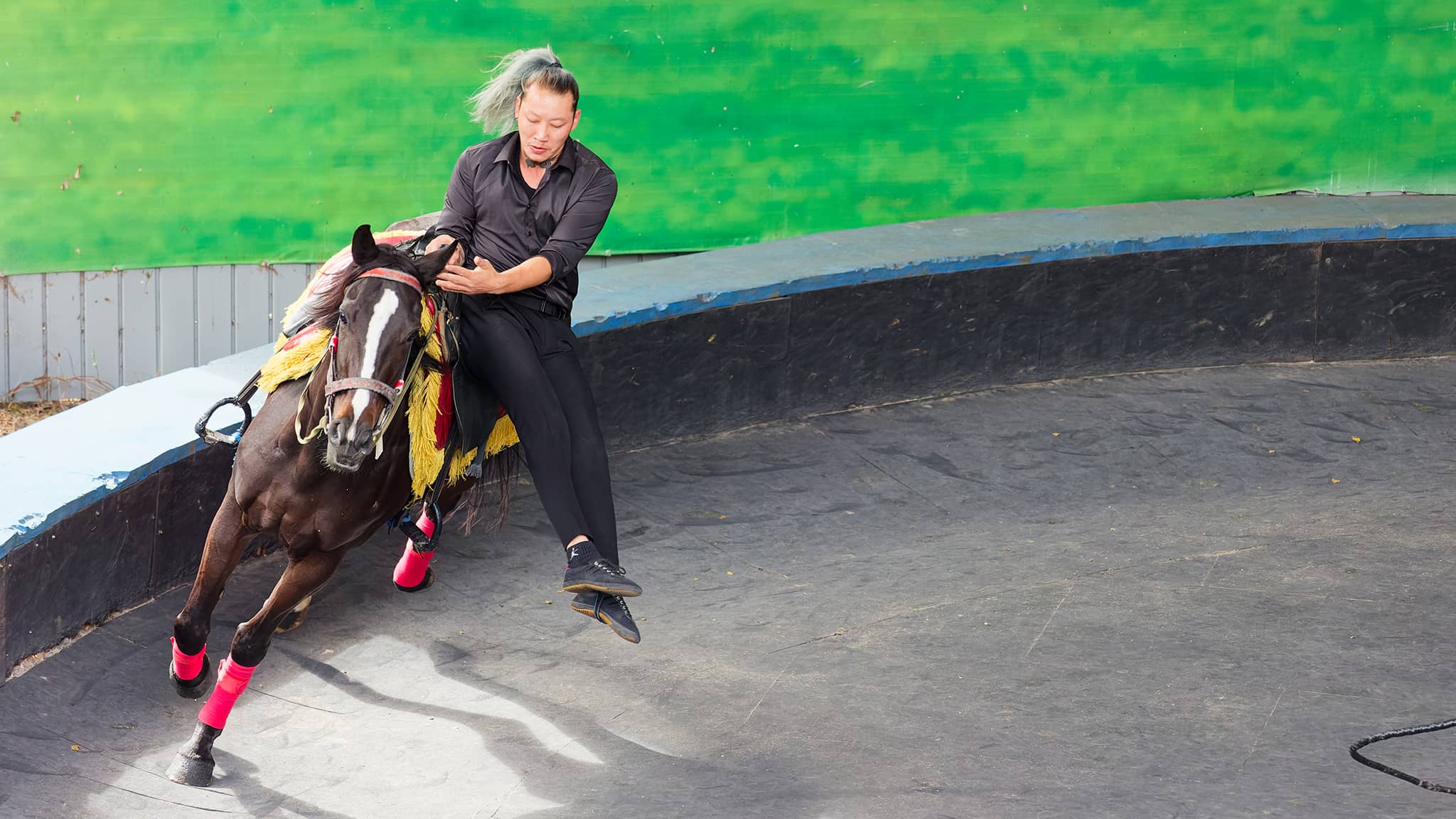 03 - Hehuanshan (42).jpg